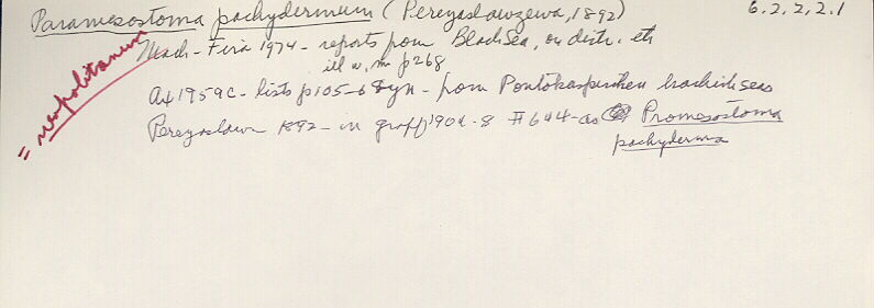 index card