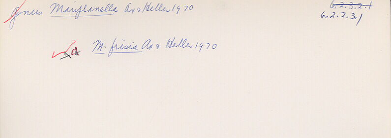 index card