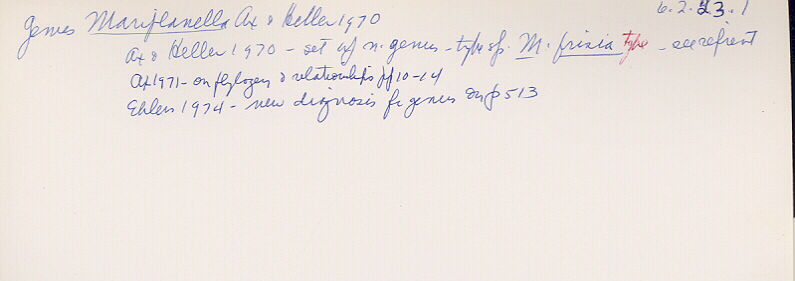 index card