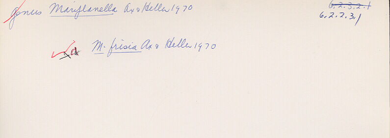 index card