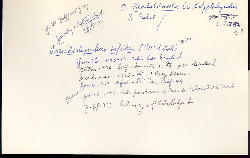 index card