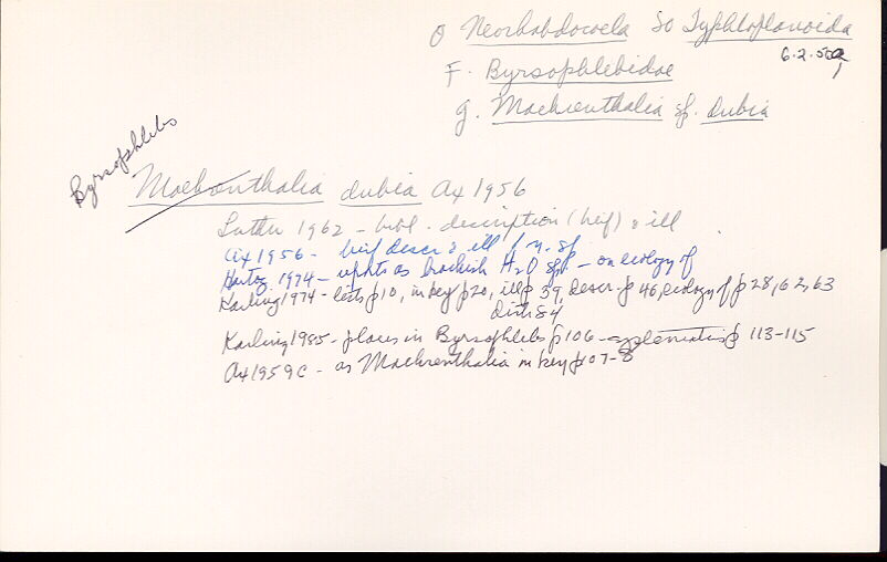 index card