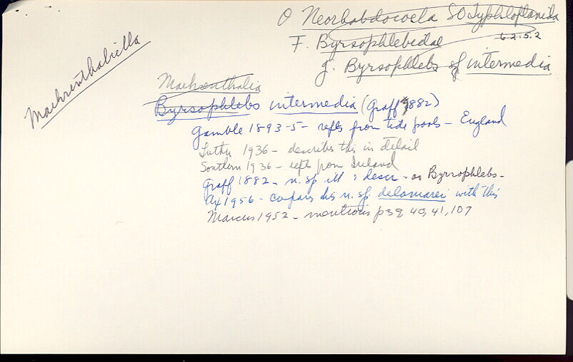 index card