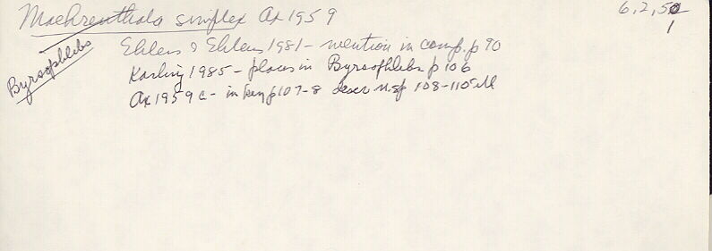 index card