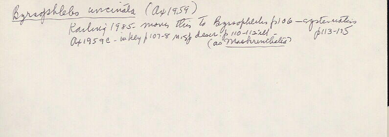 index card