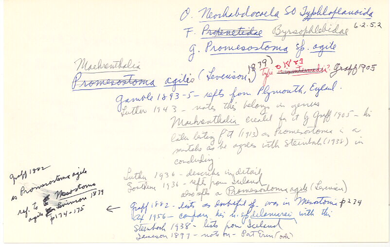 index card