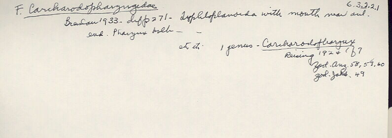 index card