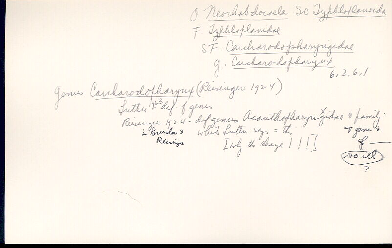 index card