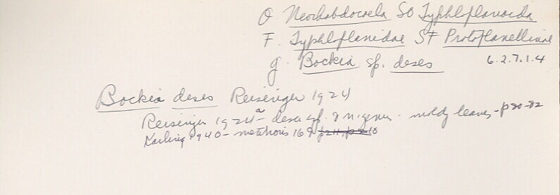 index card