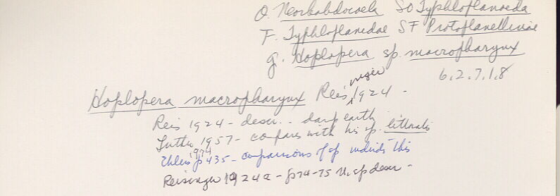 index card