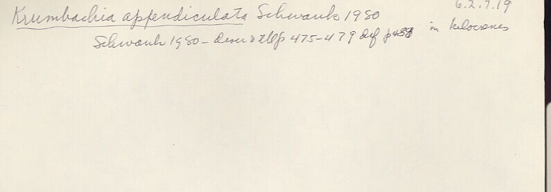 index card