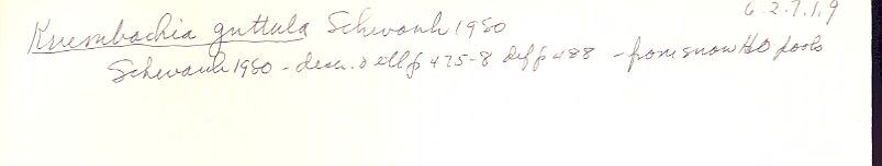 index card