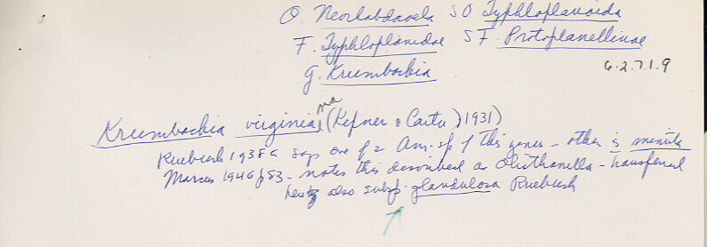 index card
