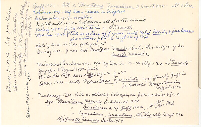 index card