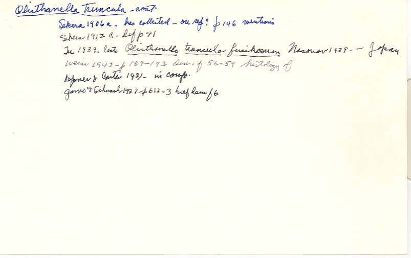 index card