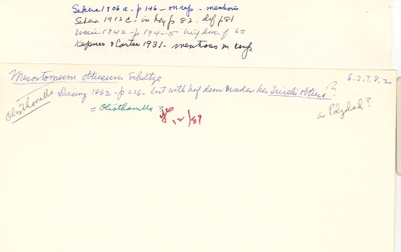 index card