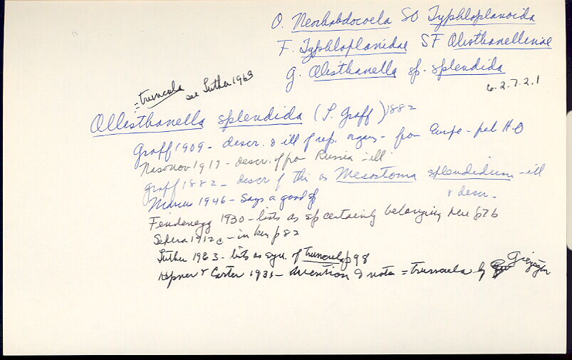index card