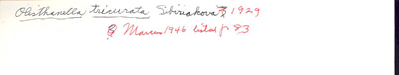 index card