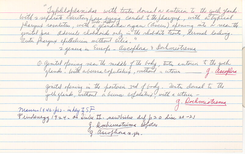 index card