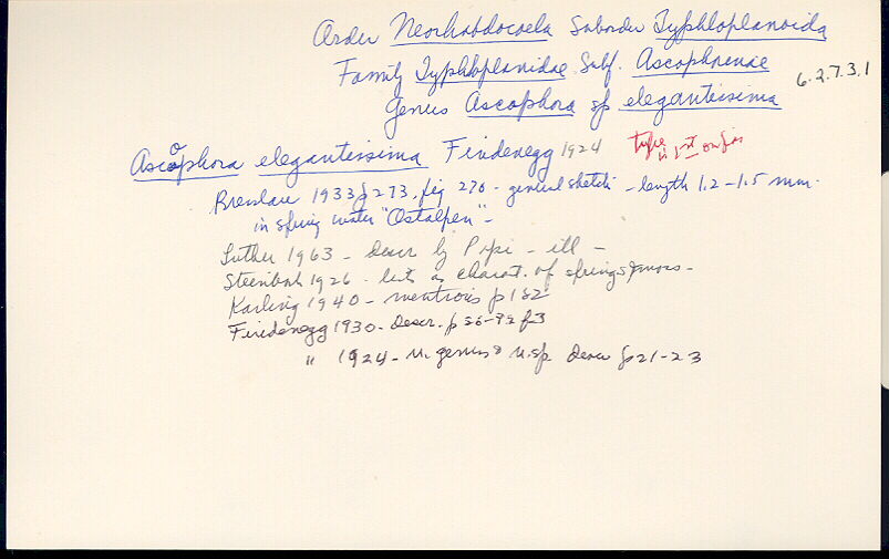 index card