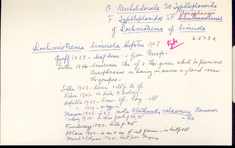 index card