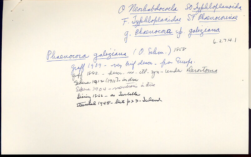 index card