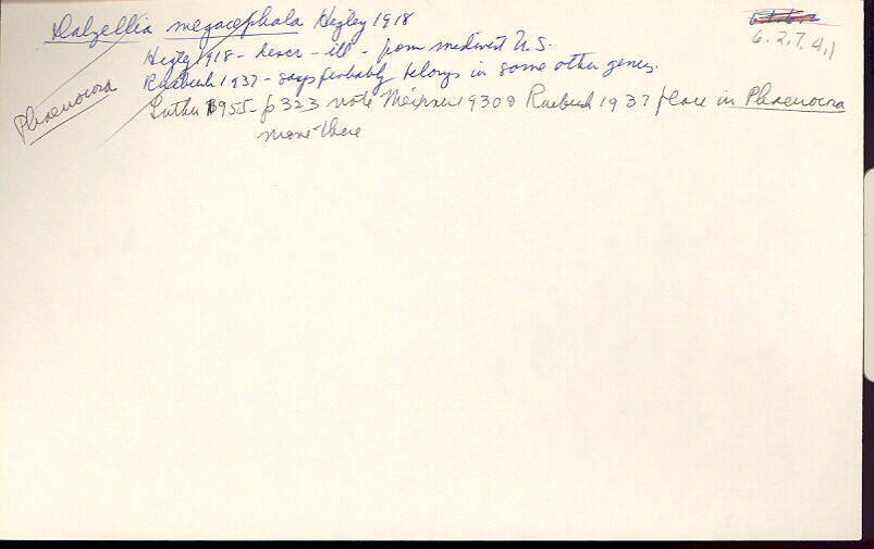 index card