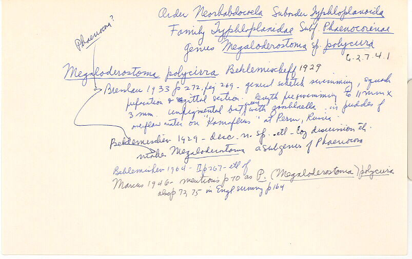 index card
