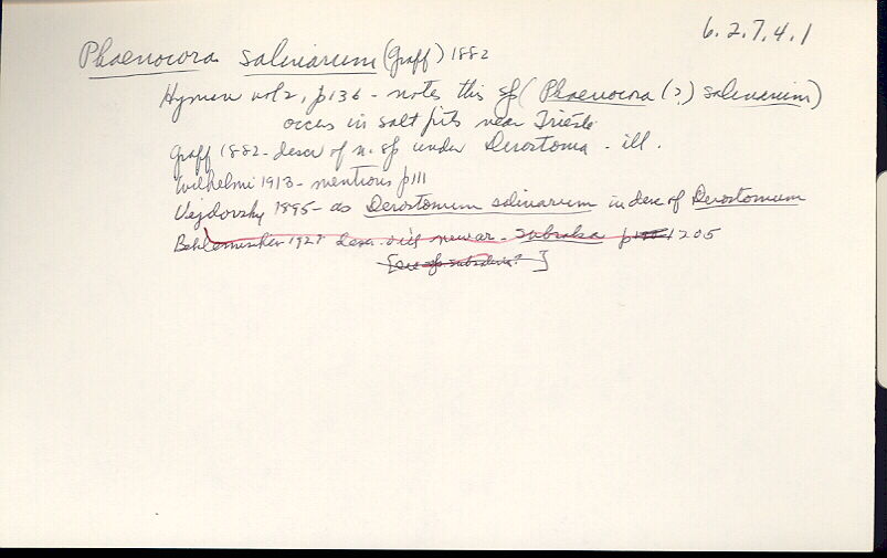 index card