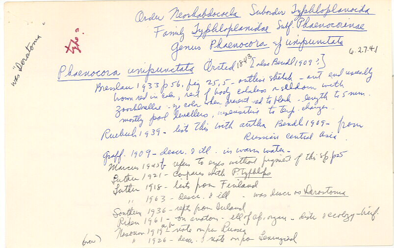 index card