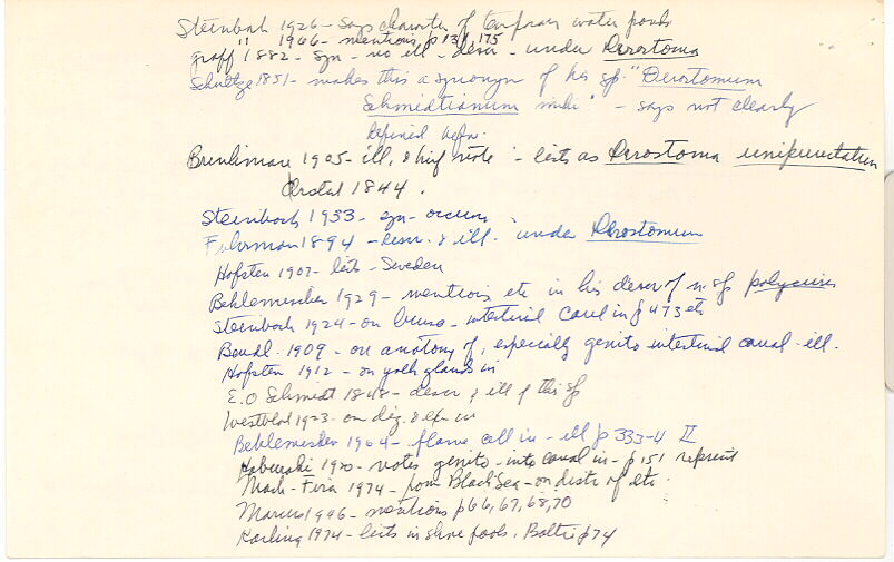 index card