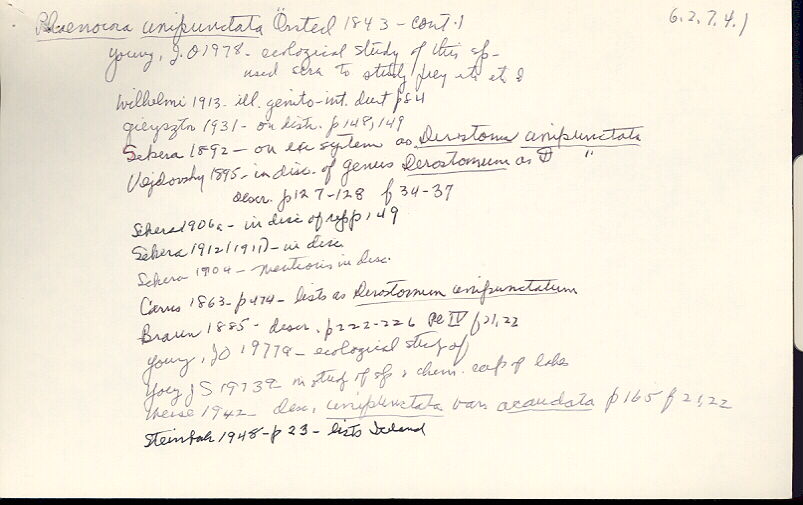 index card