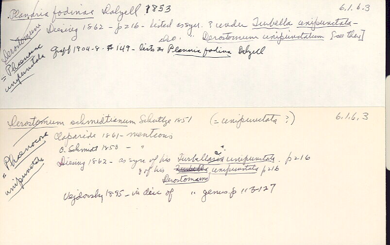 index card