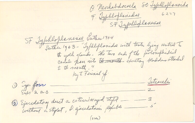index card