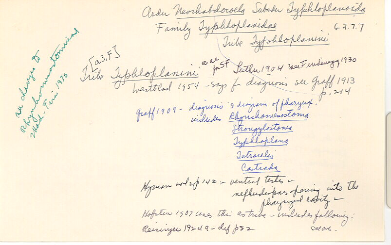 index card