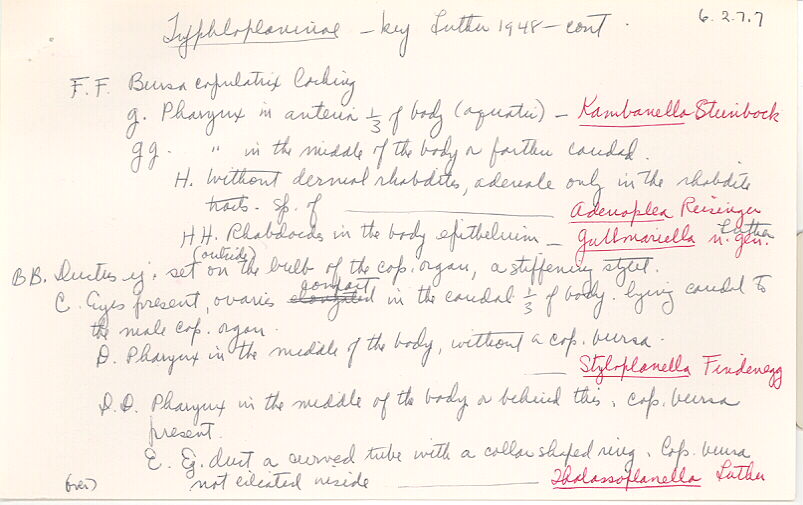 index card