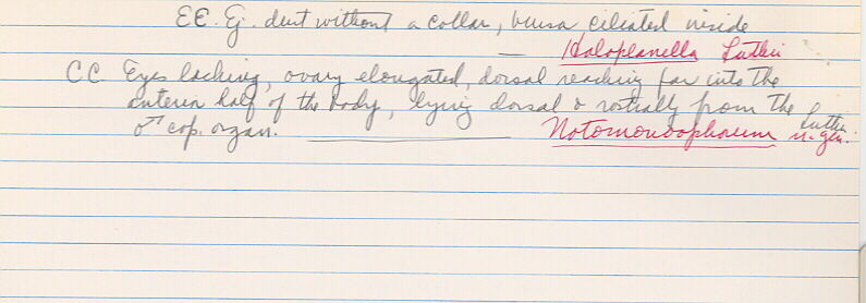 index card
