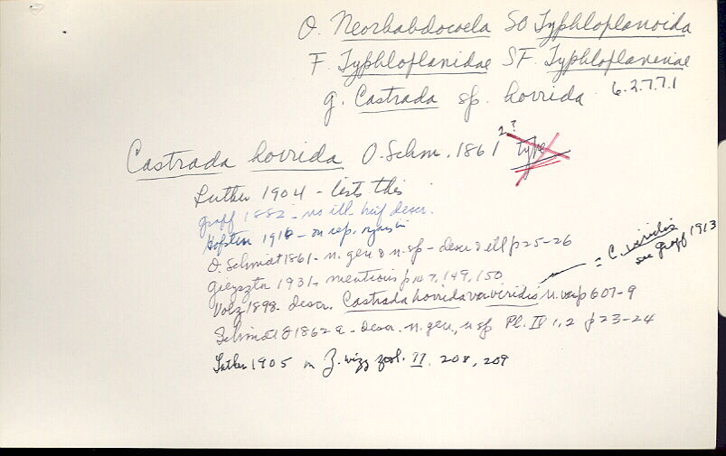 index card
