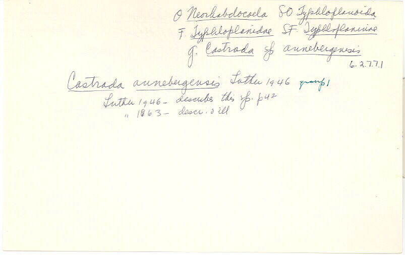 index card