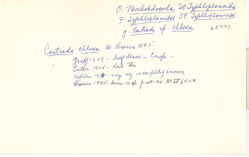 index card