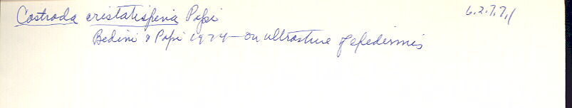 index card