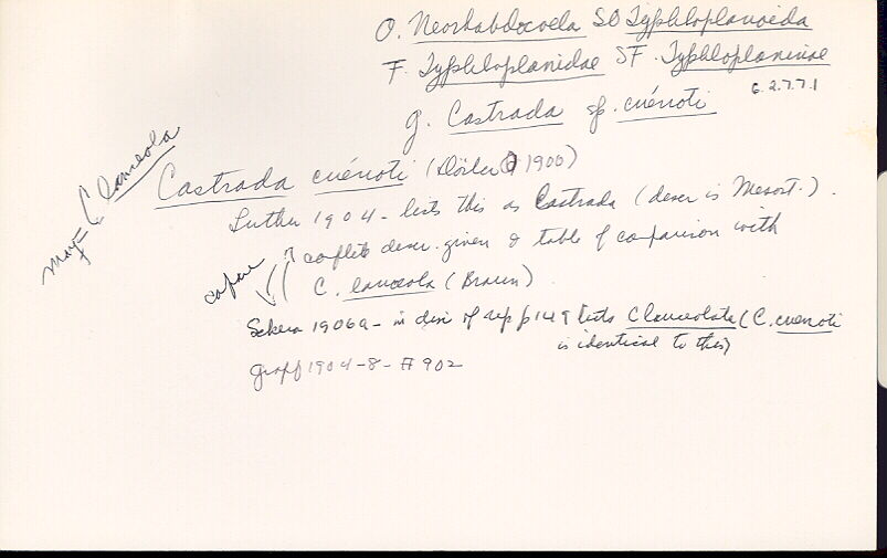 index card