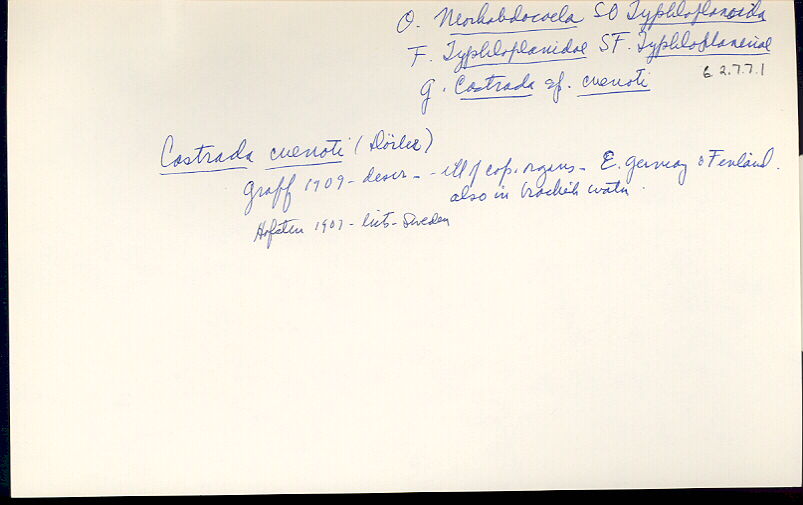 index card