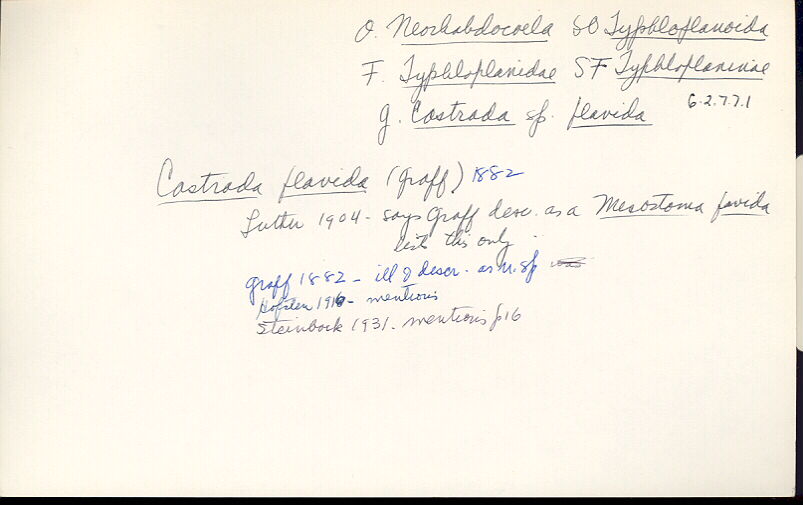index card