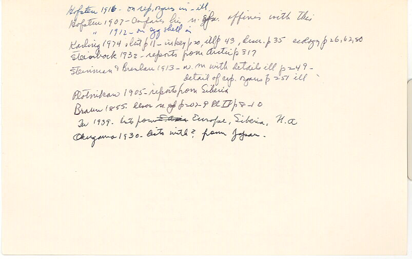 index card