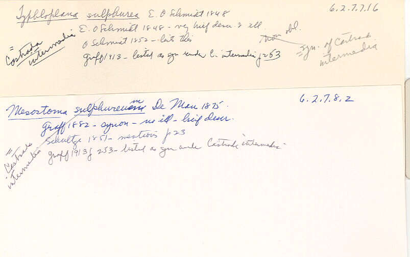 index card