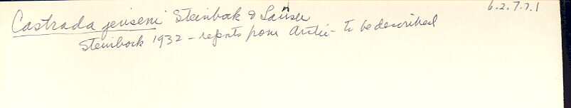 index card