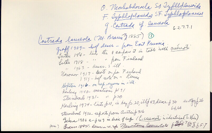 index card