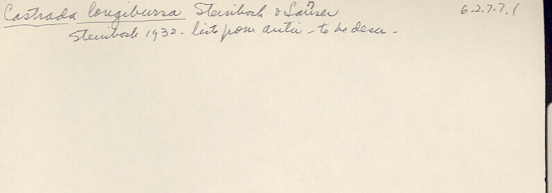 index card