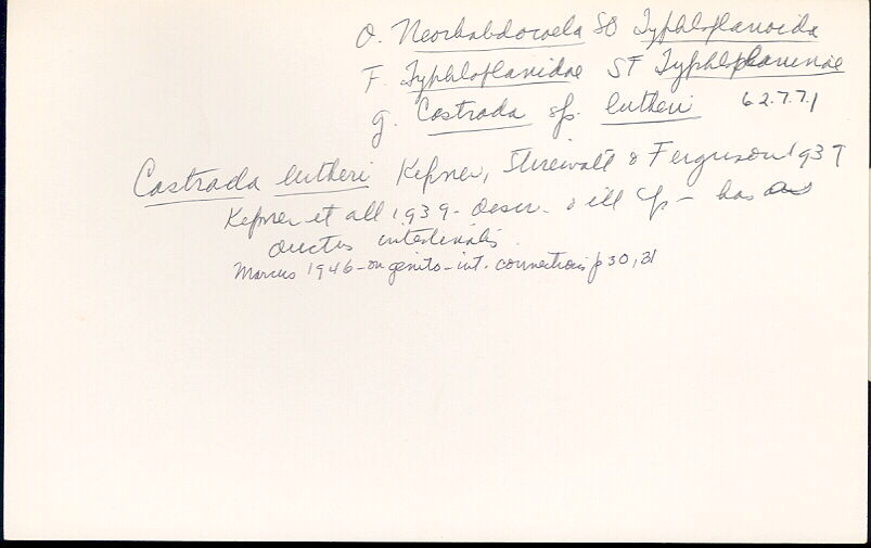index card